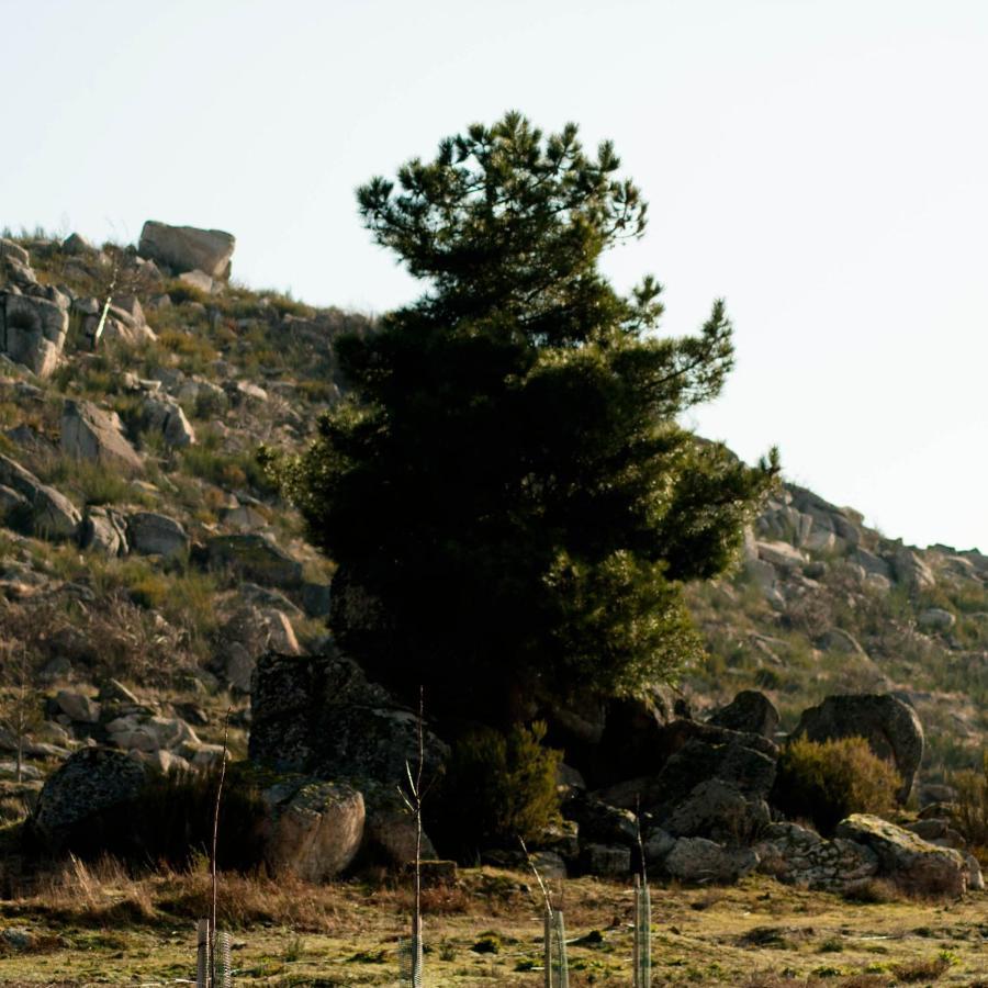 Quinta Do Chaozinho Villa Alijó Eksteriør billede