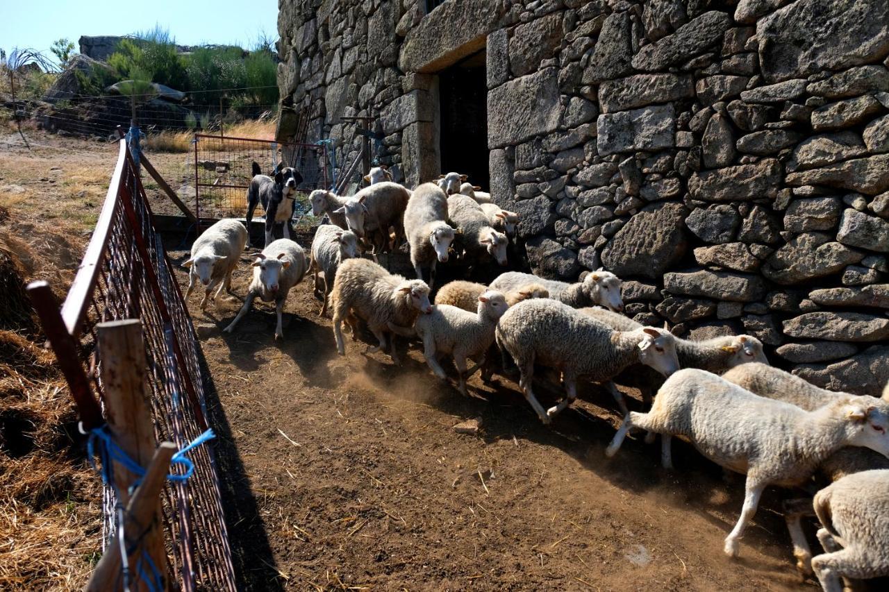 Quinta Do Chaozinho Villa Alijó Eksteriør billede