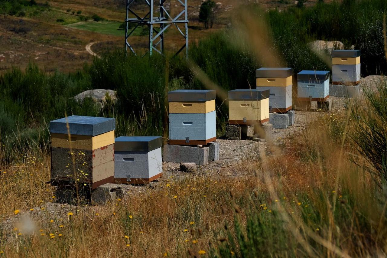 Quinta Do Chaozinho Villa Alijó Eksteriør billede