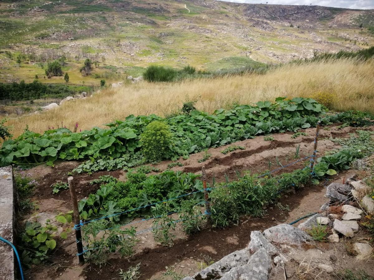 Quinta Do Chaozinho Villa Alijó Eksteriør billede